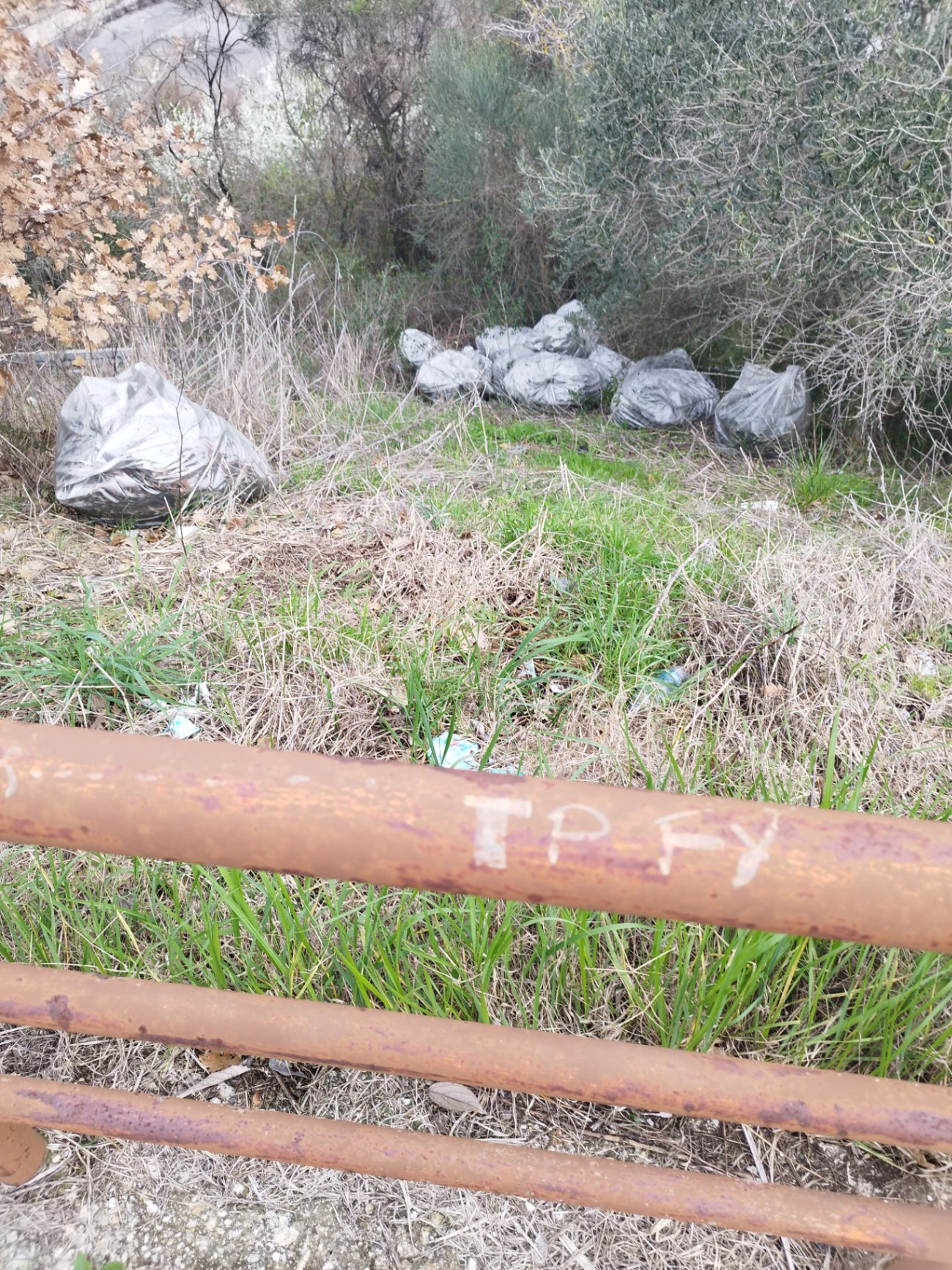 Foto segnalazione